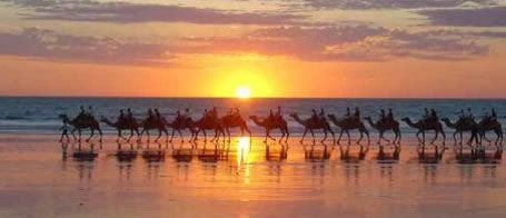 camels-broome