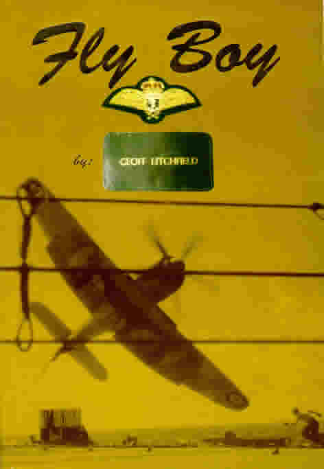 Flyboy book cover