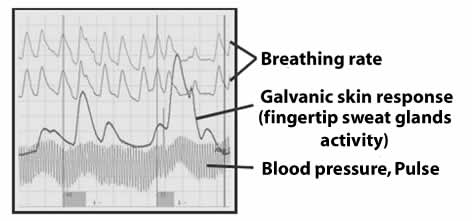 polygraph readout