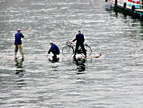 bike-ferry