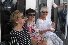 Sue Blazey, Anne-MarieHazell, Noni Osborn